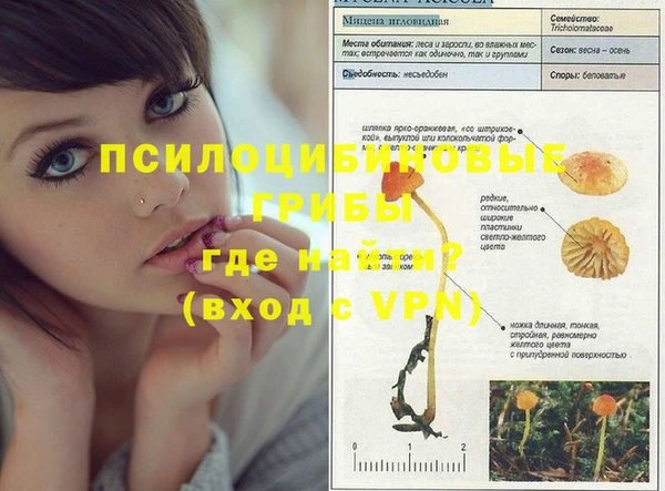 винт Кодинск