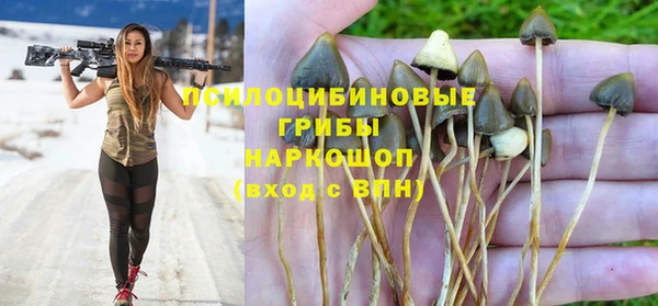 дурь Коряжма