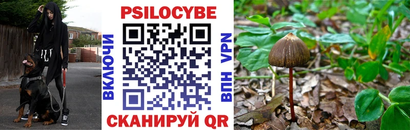где продают Ладушкин Галлюциногенные грибы Cubensis